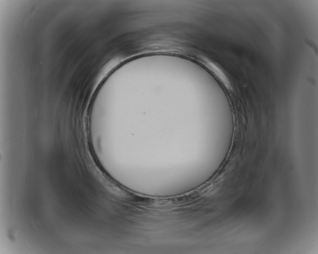 X0000097881291200803140934
