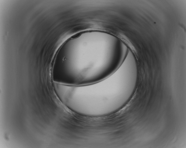 X0000097881292200803140934