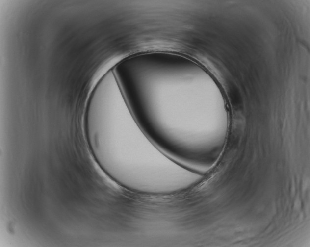 X0000097881293200803140934