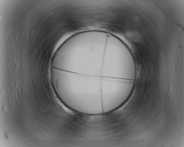 X0000097881294200803140934