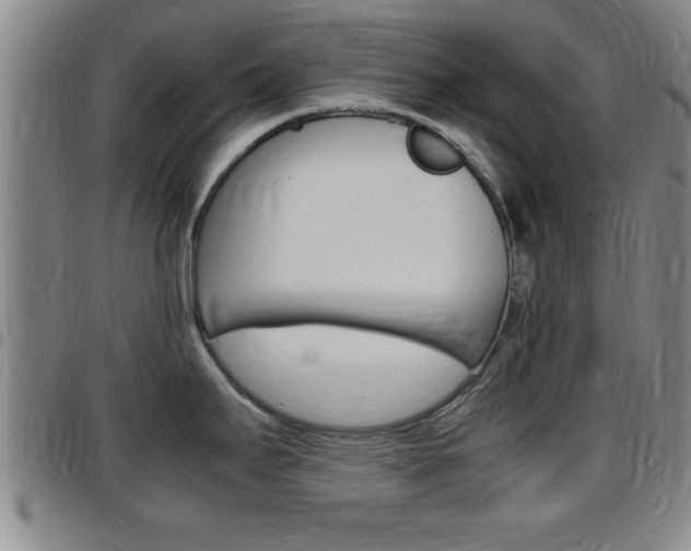 X0000097881295200803140933