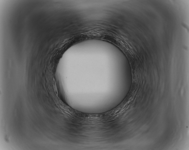 X0000097881297200803140933