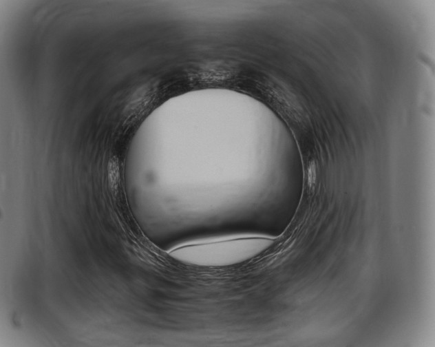 X0000097881299200803140933