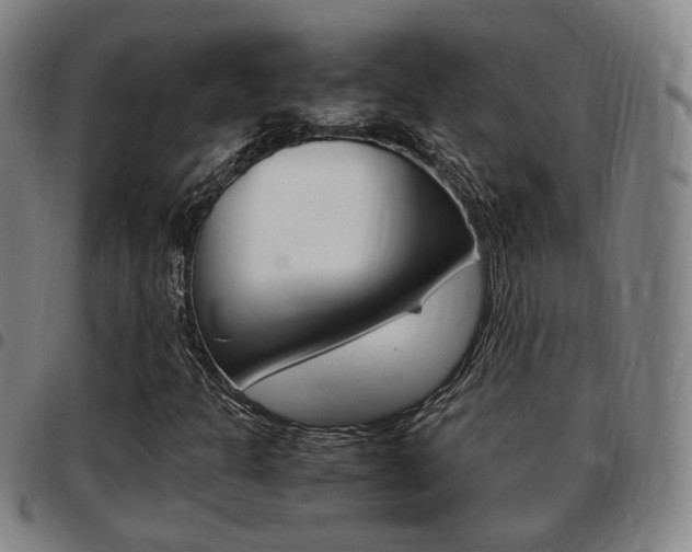 X0000097881301200803140933