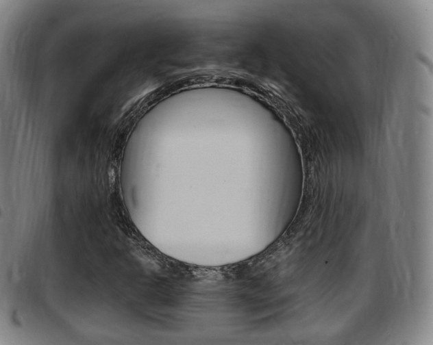 X0000097881302200803140933