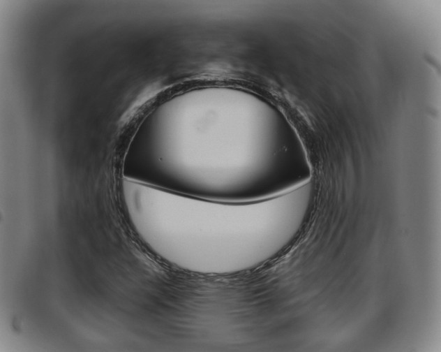 X0000097881304200803140933