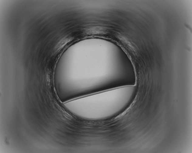 X0000097881305200803140933