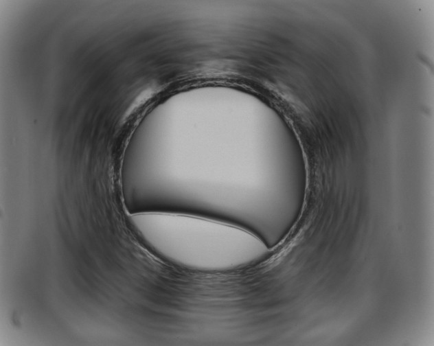 X0000097881306200803140933