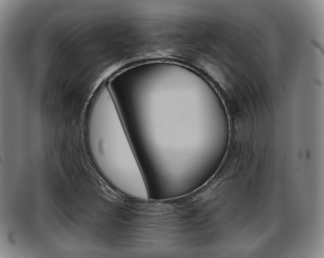 X0000097881308200803140933