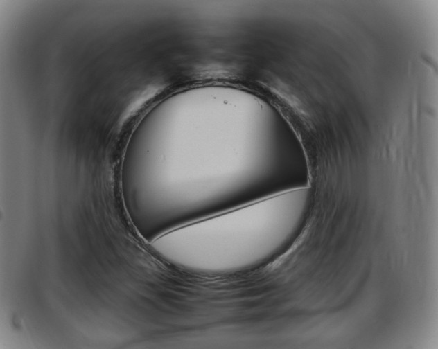 X0000097881309200803140933