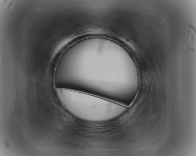 X0000097881311200803140933