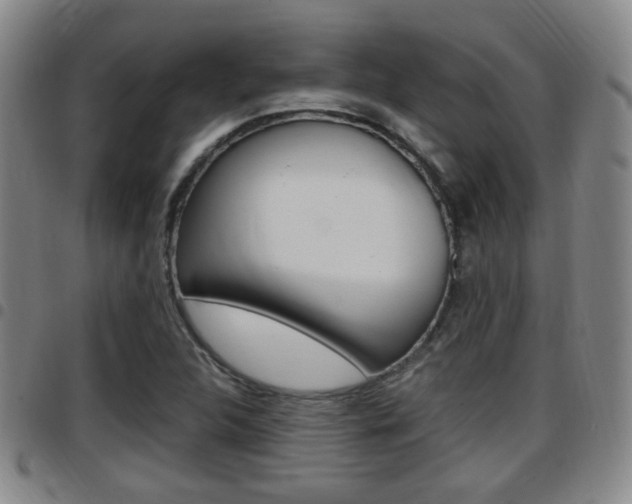 X0000097881312200803140933