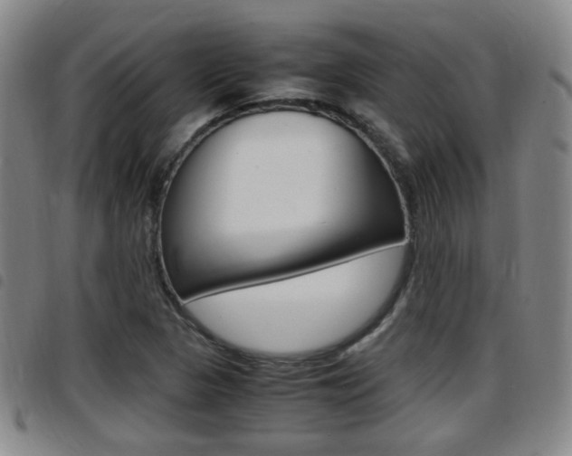 X0000097881313200803140933