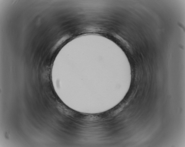 X0000097881314200803140933