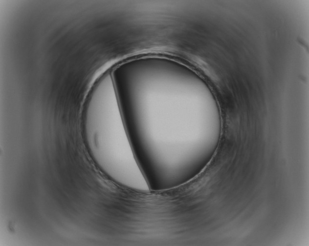 X0000097881316200803140933
