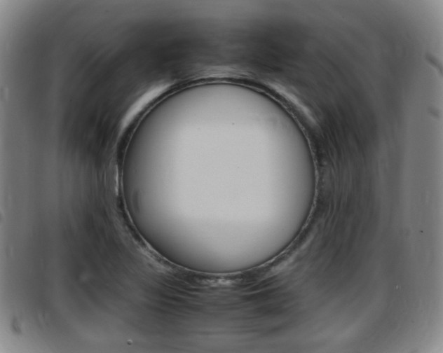 X0000097881317200803140933