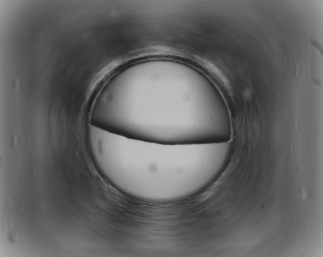 X0000097881318200803140933