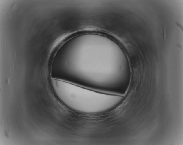 X0000097881319200803140933