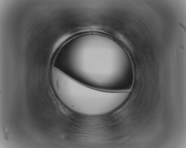 X0000097881320200803140933