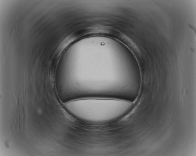 X0000097881321200803140933