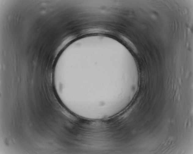 X0000097881322200803140933