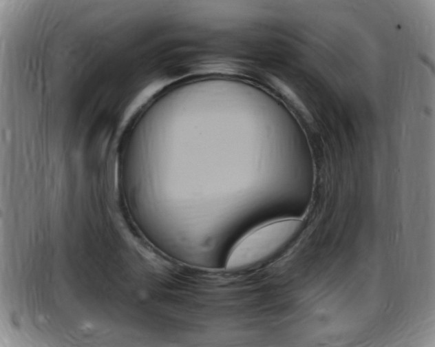 X0000097881323200803140933