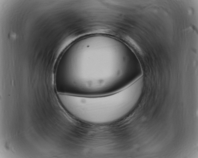 X0000097881324200803140933