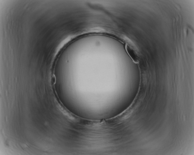 X0000097881326200803140933