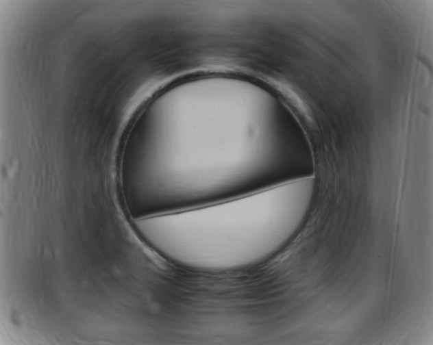 X0000097881327200803140933