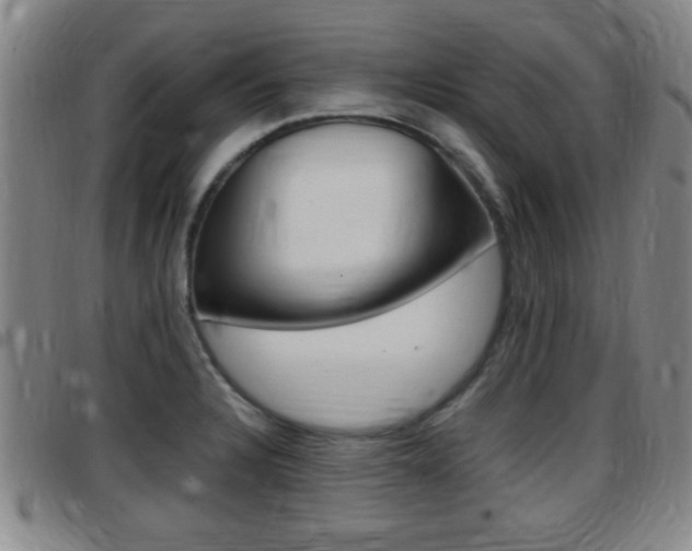 X0000097881328200803140933