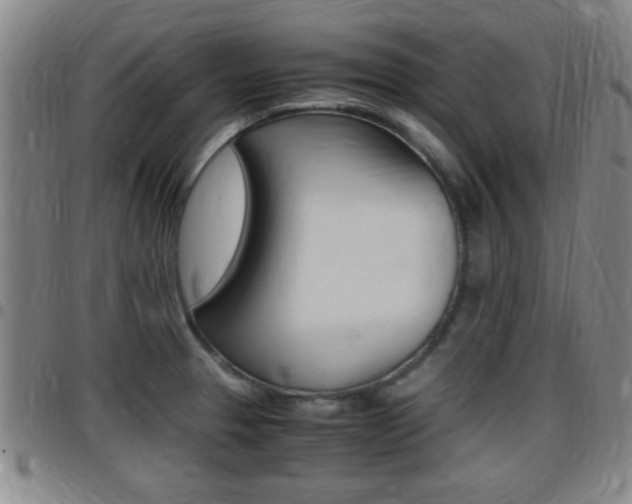 X0000097881329200803140933