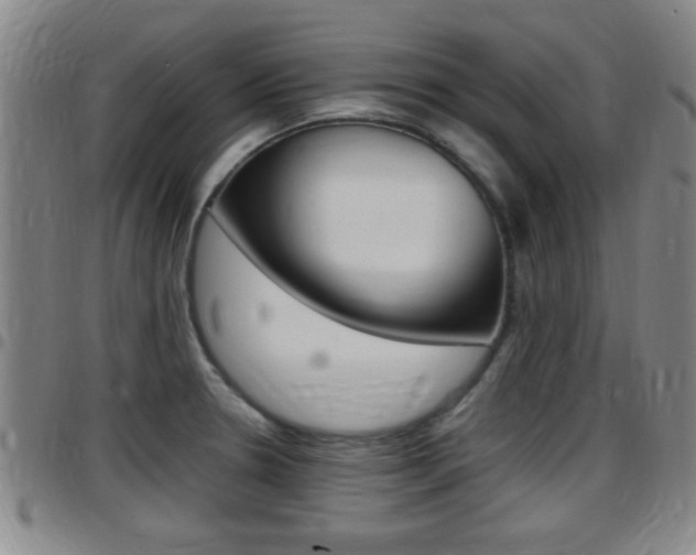 X0000097881330200803140933