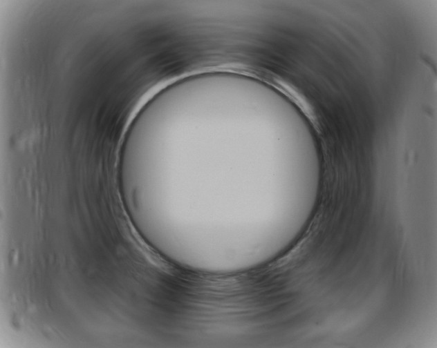 X0000097881332200803140933