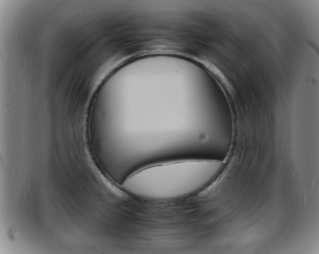 X0000097881333200803140933