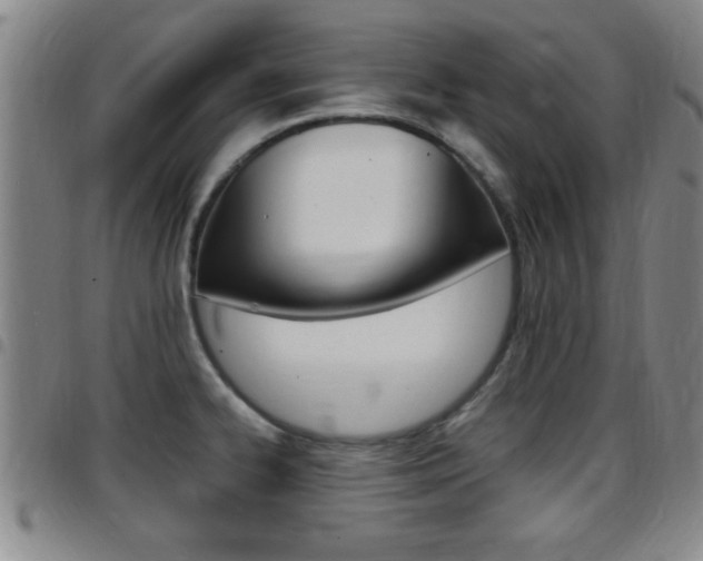 X0000097881334200803140933