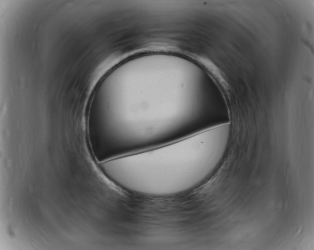 X0000097881335200803140933