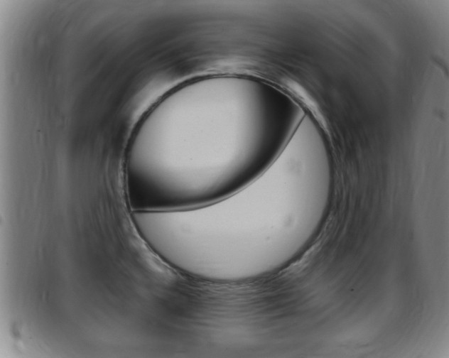 X0000097881336200803140933