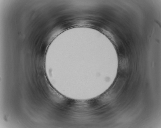 X0000097881338200803140933