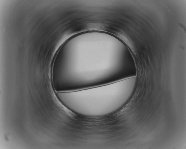 X0000097881339200803140933