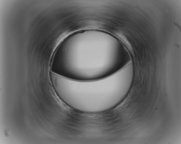 X0000097881340200803140933