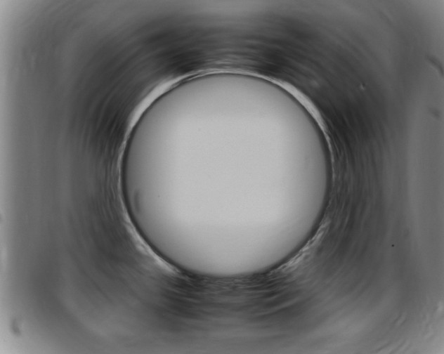 X0000097881341200803140933