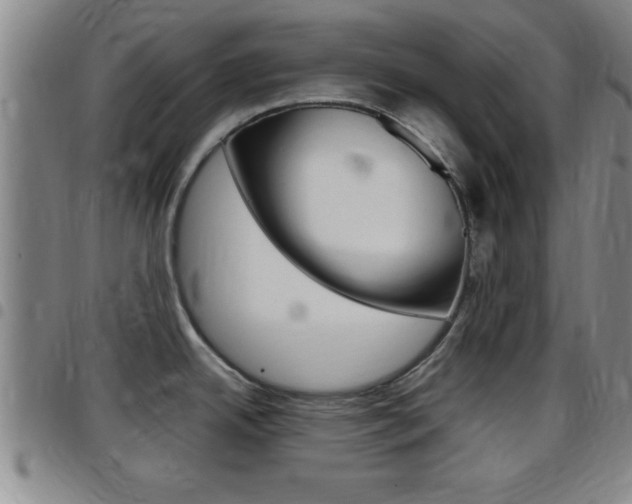 X0000097881342200803140933