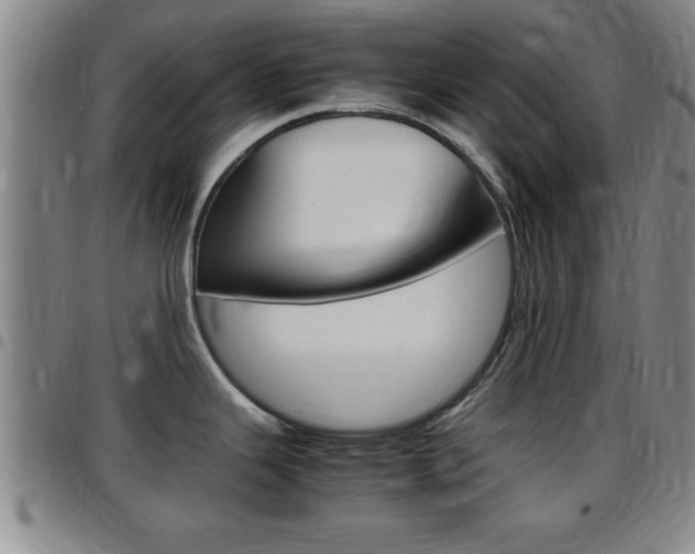X0000097881343200803140933
