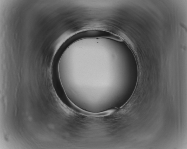 X0000097881344200803140933