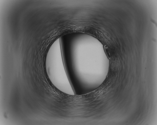 X0000097881345200803140933