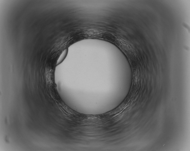 X0000097881346200803140933