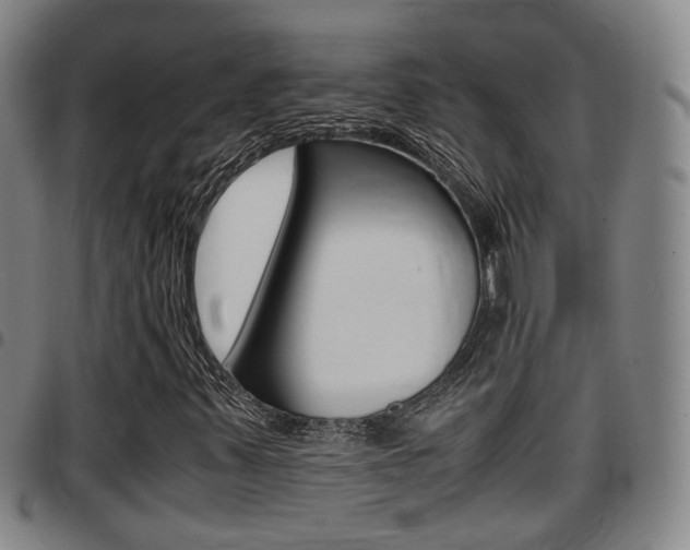 X0000097881347200803140933
