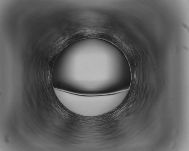X0000097881348200803140933