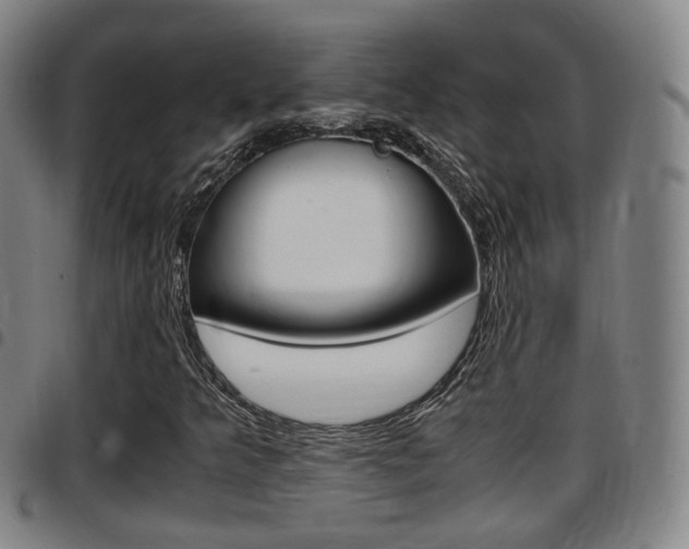 X0000097881349200803140933