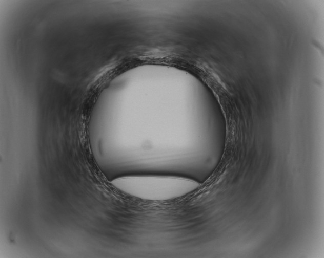 X0000097881350200803140933